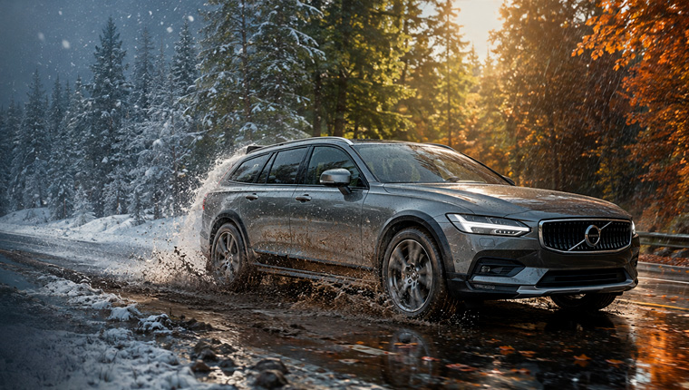 Сезонная проверка Volvo